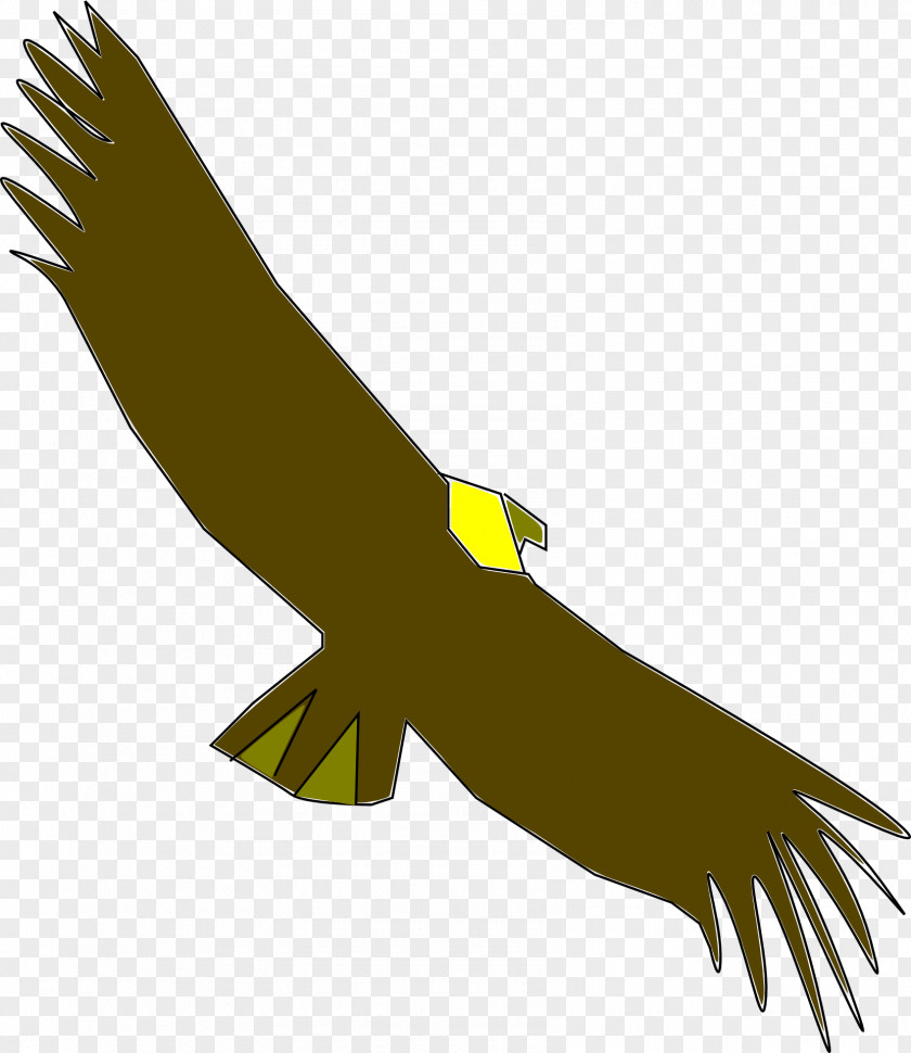 Condor Download Clip Art PNG