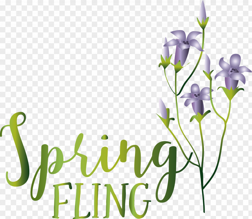 Floral Design PNG