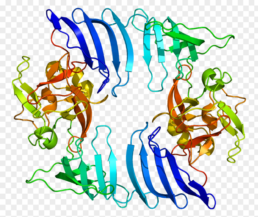 SETD7 Histone Methyltransferase Gene PNG