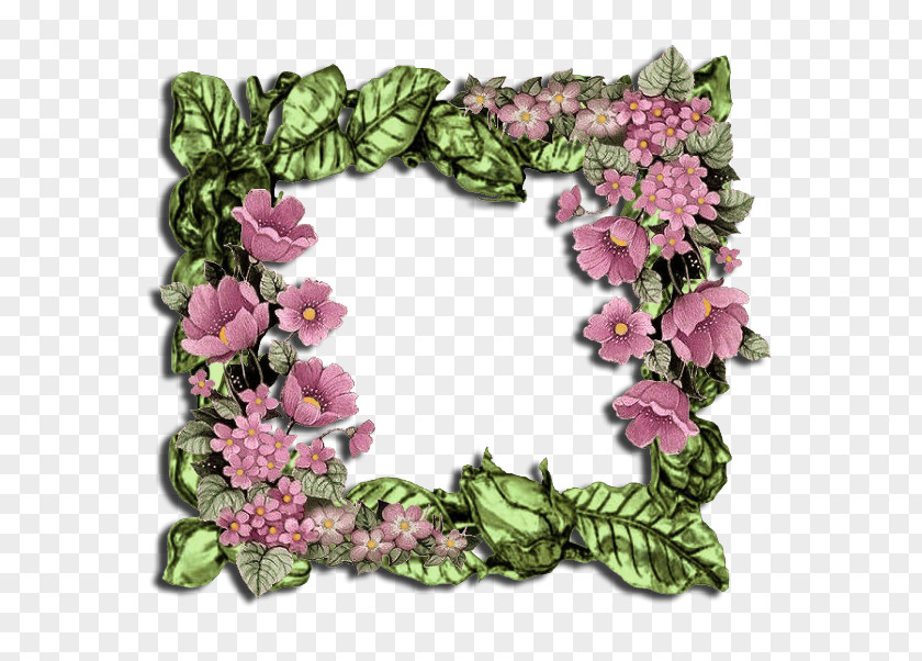 Design Floral Wreath Picture Frames Friendship PNG