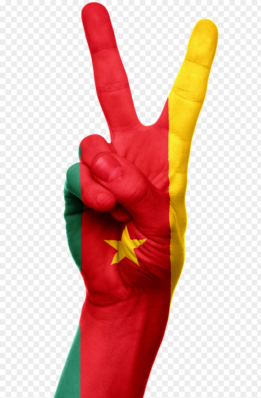 Flag Of Cameroon Camer.be Stock.xchng PNG