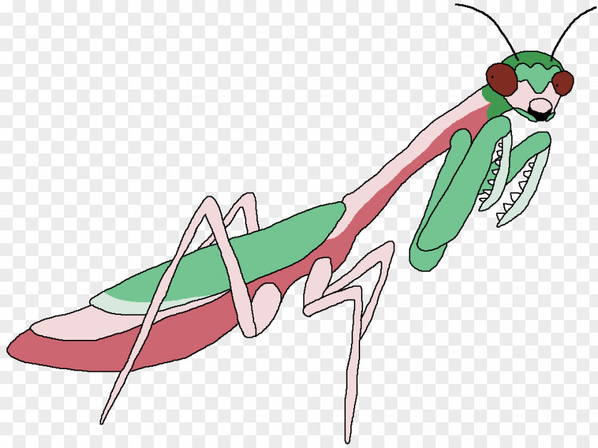 Insect Mantis Illustration Clip Art Product Design PNG