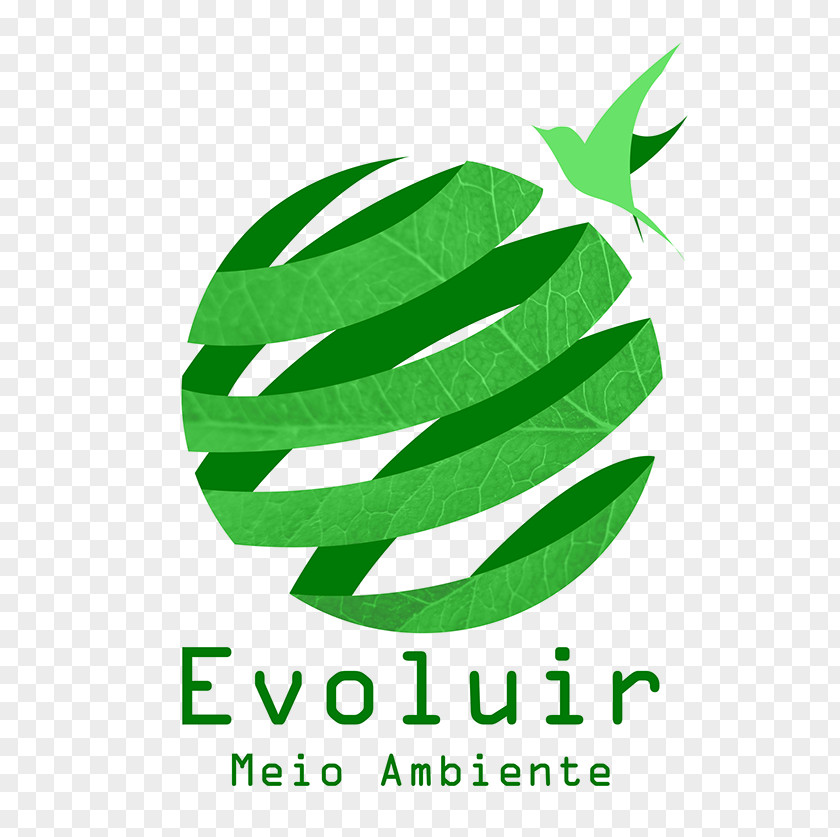 Leaf Logo Brand Siri Font PNG