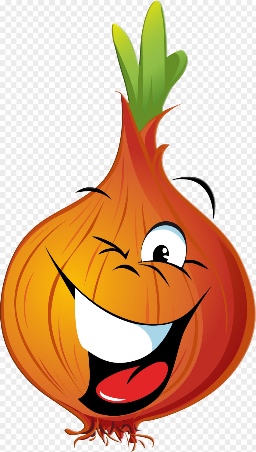 Onion Vector Red Vegetable Clip Art PNG