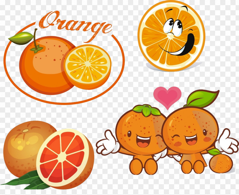 Orange Cartoon Yuja Tea Pomelo Auglis PNG