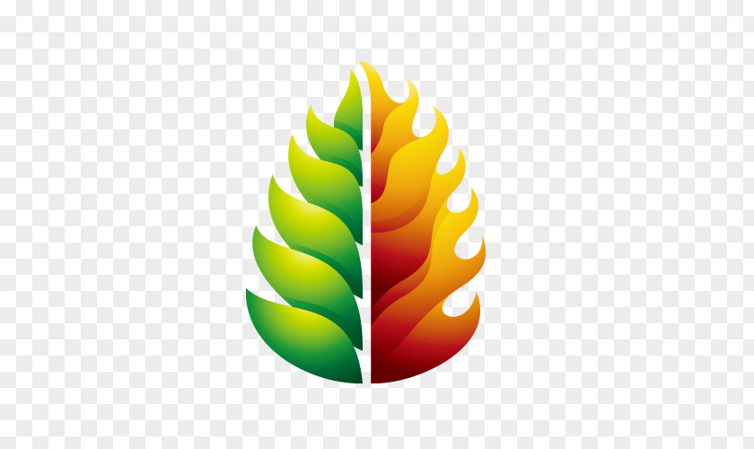 Tree Vector Logo PNG