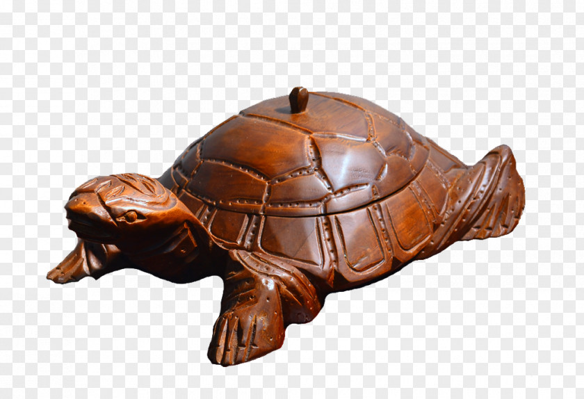 Wood Box Turtles Tortoise Teak Symbol PNG