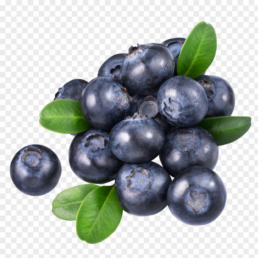 Blueberries Blueberry Tea Food PNG
