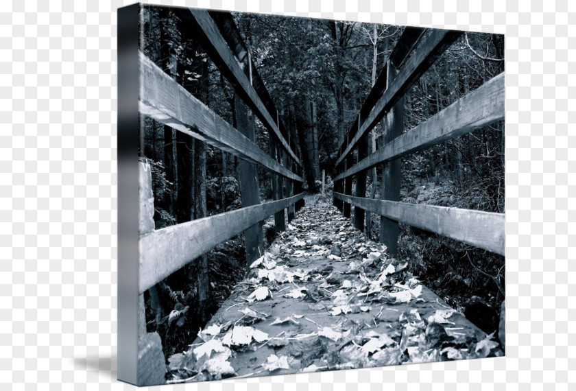 Bridge Forest Gallery Wrap Canvas Tree Wood Winter PNG