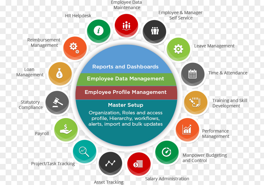 Business Human Resource Management System Computer Software PNG