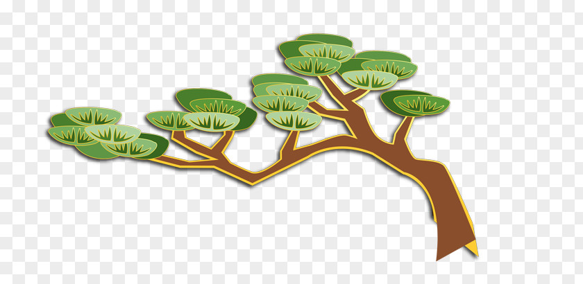 Cartoon Tree Pine Web Page PNG