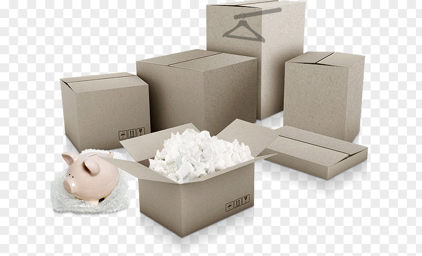 Foam Box Carton PNG
