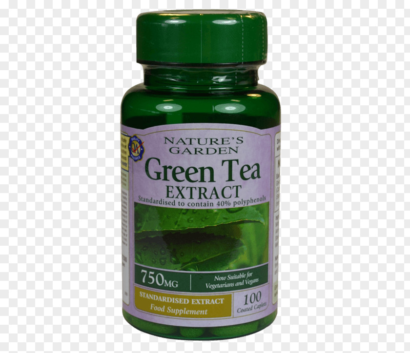 Green Tea Dietary Supplement Garcinia Gummi-gutta Capsule Tablet PNG