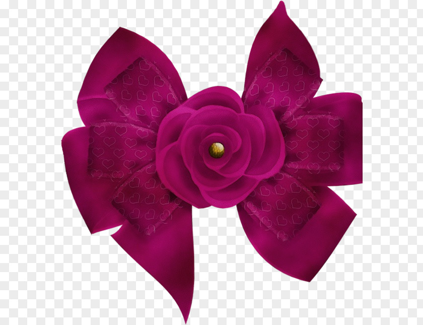Headband Plant Violet Pink Purple Petal Magenta PNG