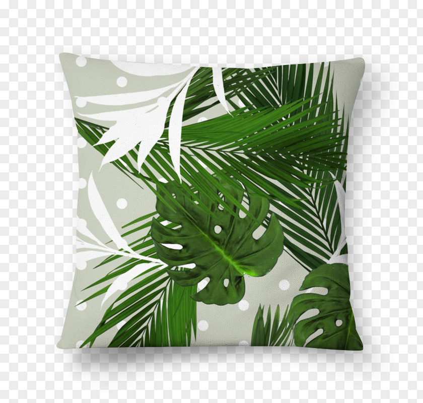 Jungle Geranium Leaf Arecaceae Tree Liana PNG