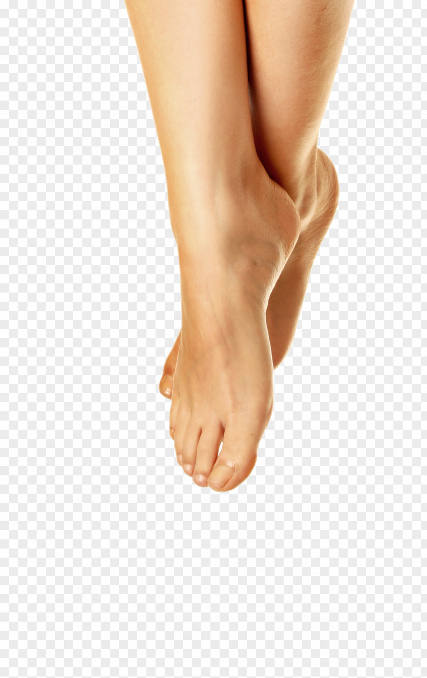 Legs PNG clipart PNG