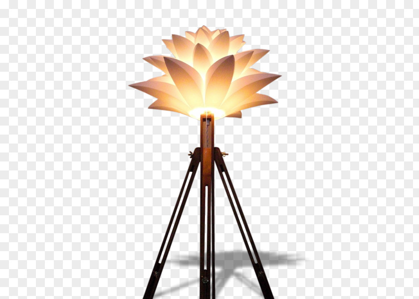 Multi Style Product Design Energy Lighting PNG
