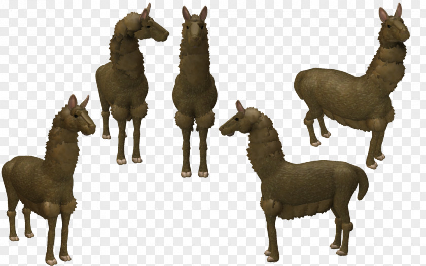 Mustang Spore Creatures Llama Creature Creator PNG