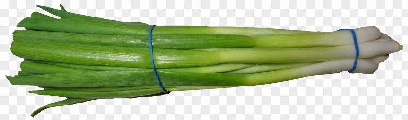 Scallion Green Onion Vegetable PNG