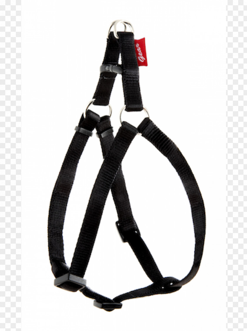 Freak On A Leash Cover Cat Horse Harnesses Dog Ferret PNG