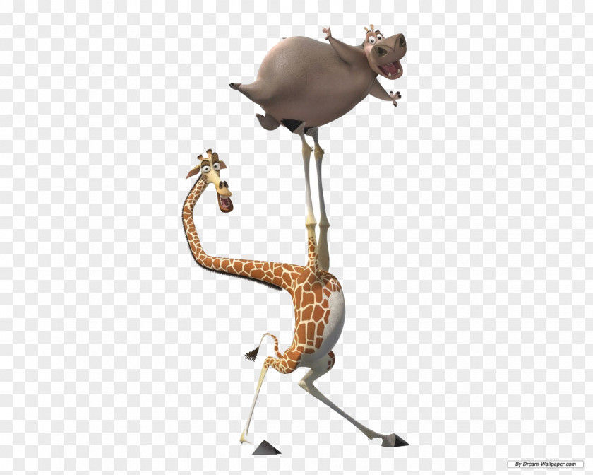 Giraffe Melman Gloria Alex Marty Madagascar PNG