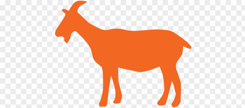 Goat Miraj World Vision International Mammal Horse PNG