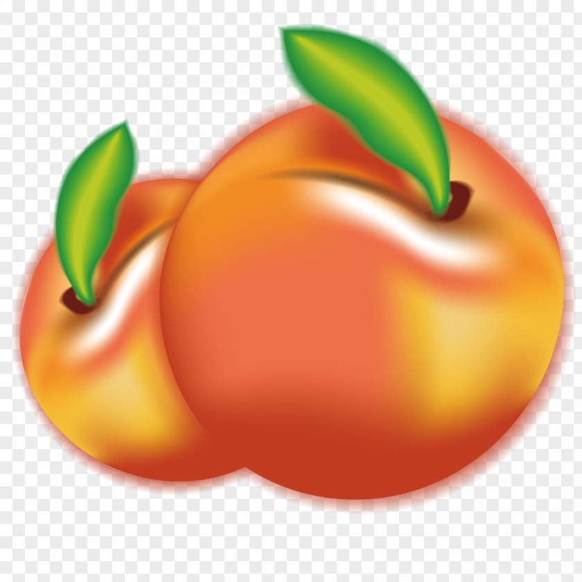 Vector Peach Plum Fruit Euclidean PNG