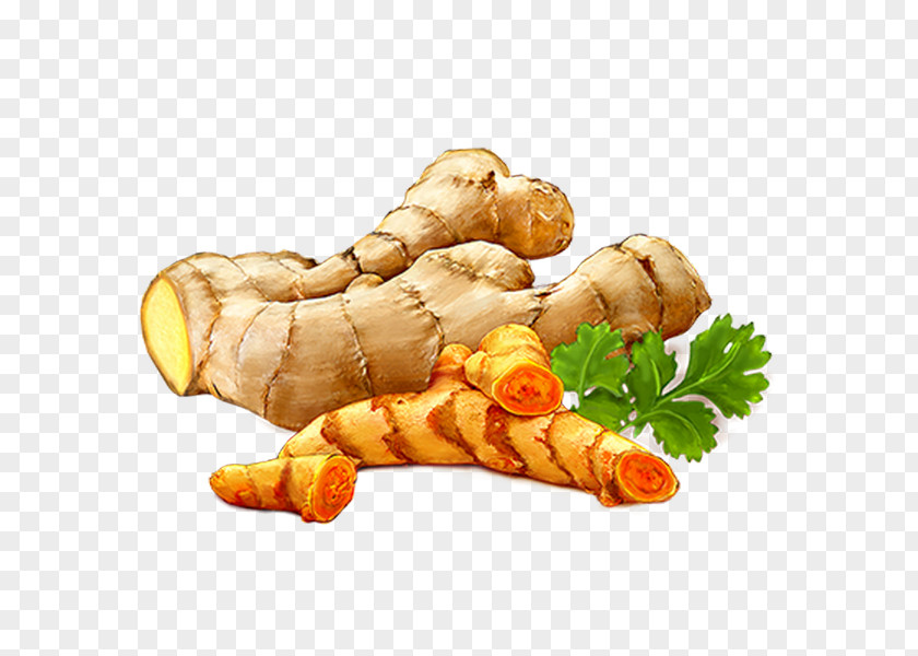 Zingiber Curcuma Turmeric PNG