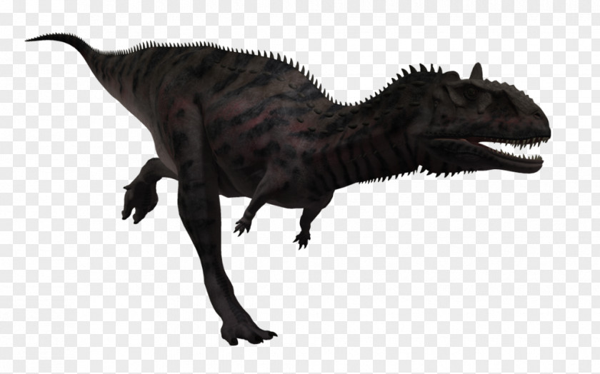 Animal Claws Majungasaurus Dinosaur Carnotaurus Tyrannosaurus Teratophoneus PNG