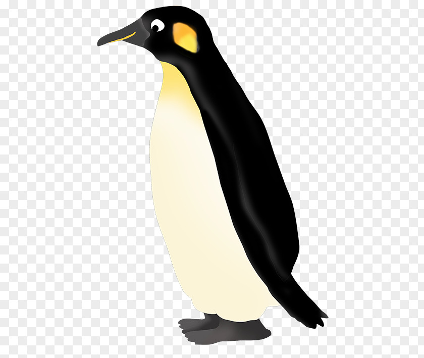 Animal Figure Gentoo Penguin Web Design PNG