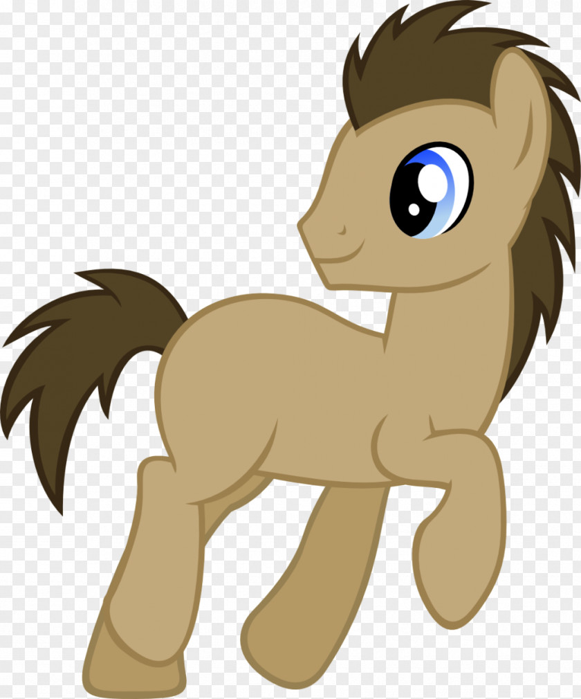 Doctor Pony Physician Derpy Hooves PNG