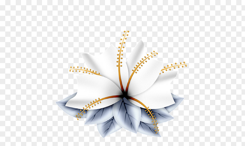 Flower Petal Drawing PNG