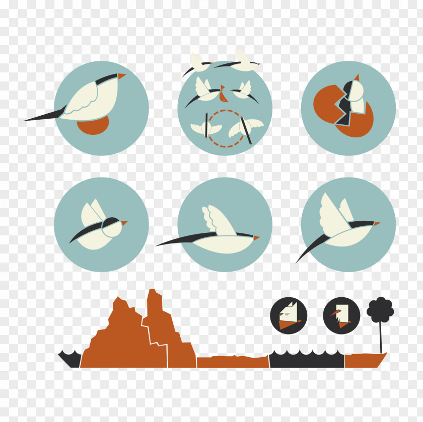 Furniture Seabird Cartoon Clock PNG