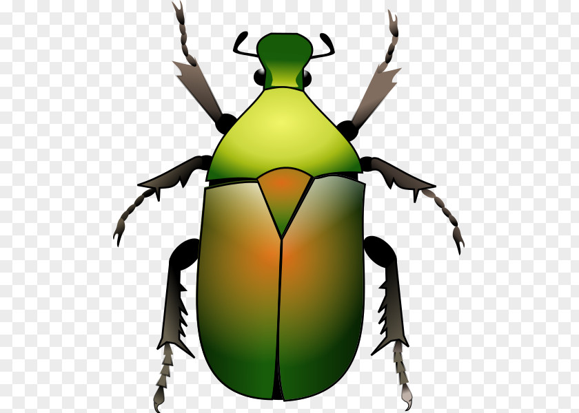 Green Beetle Clip Art Volkswagen New PNG