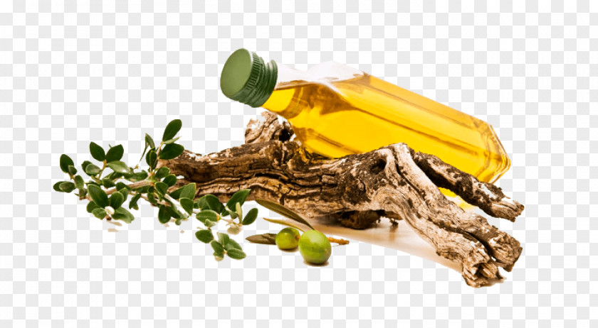 Italian Olive Oil Producers Cuisine Greek PNG