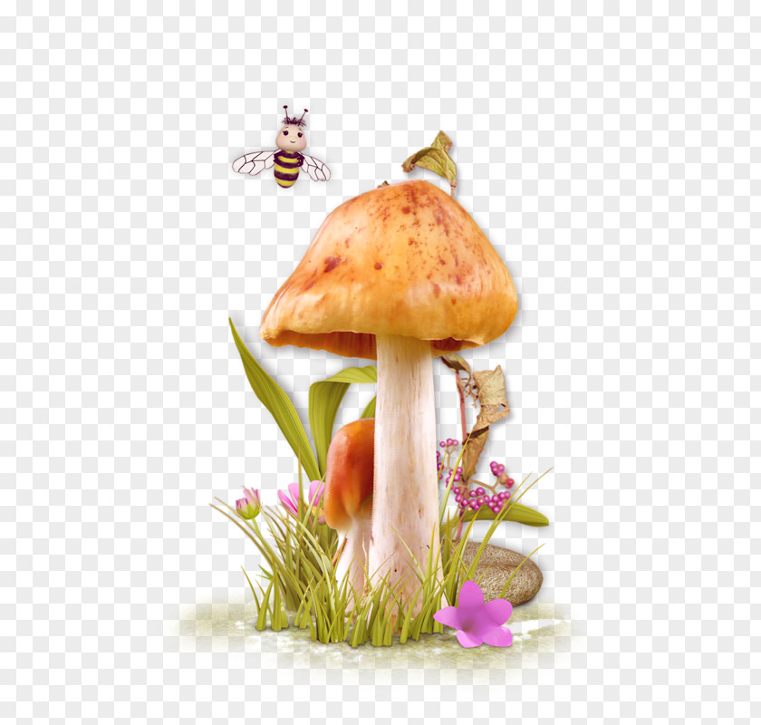 Mushroom Mushrooms And Fungi Fungus Clip Art & PNG