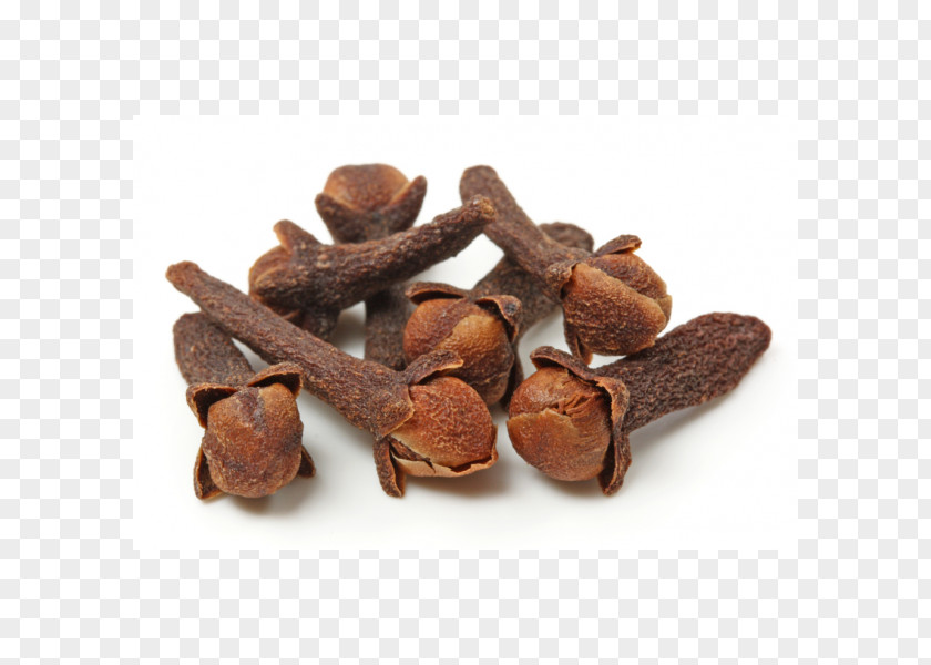 Oil Of Clove Essential Bud PNG