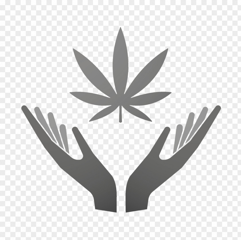 Cannabis Medical Hemp Vector Graphics Logo PNG