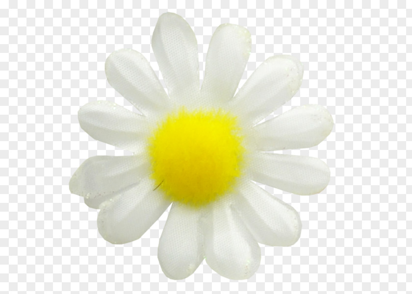Chamomile Common Daisy German Oxeye Flower PNG
