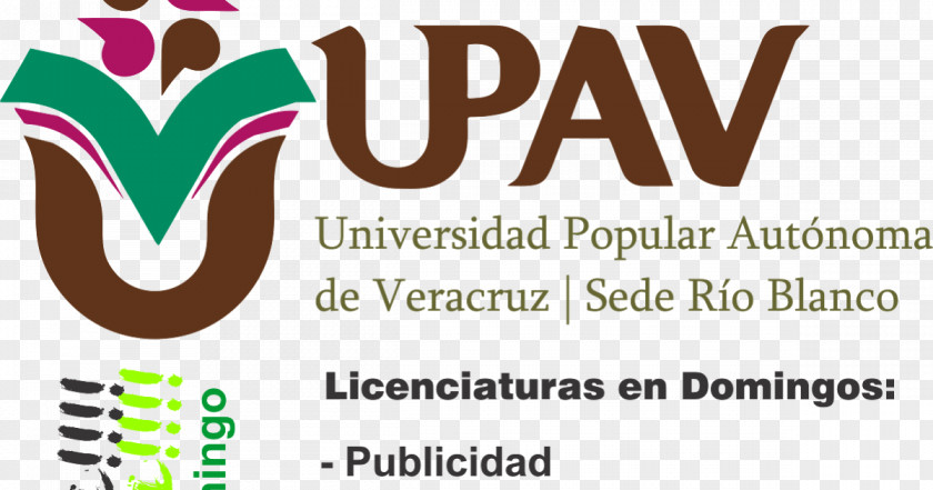 Cintillo Autonomous Popular University Of Veracruz Licentiate Rector PNG