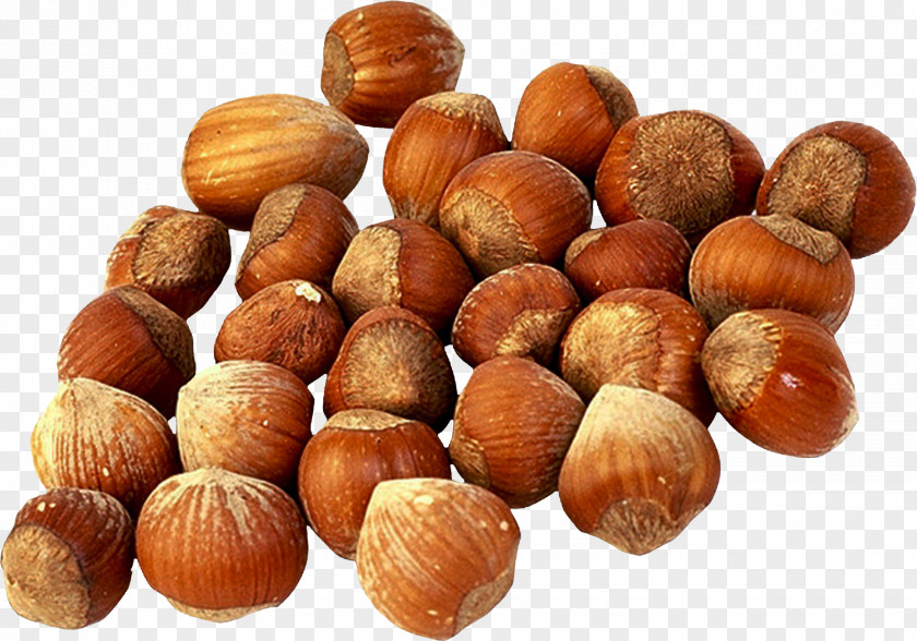 Hazelnut Tree Nut Allergy Chestnut Food PNG