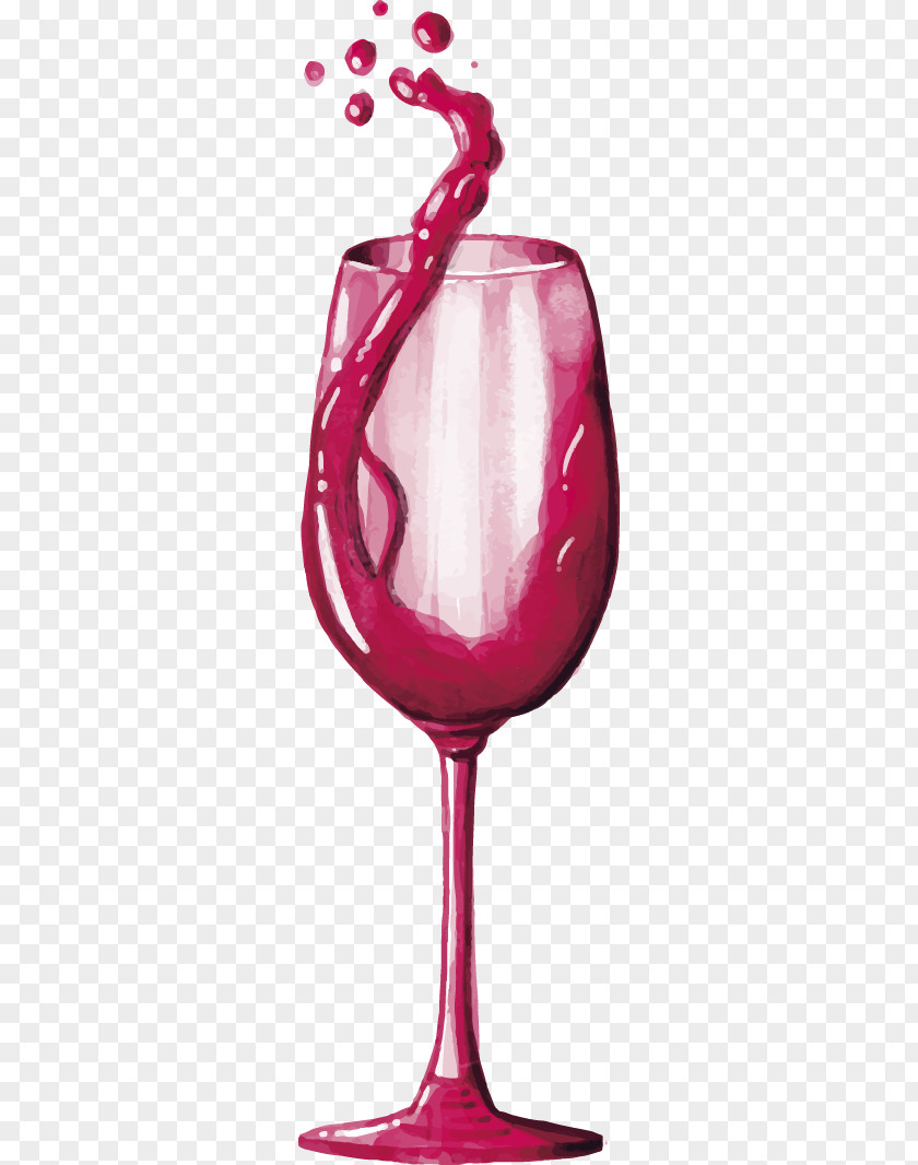 Vector Hand-drawn Illustration Of Wine Casa Perini Common Grape Vine Hotel Xc0 La Carte PNG