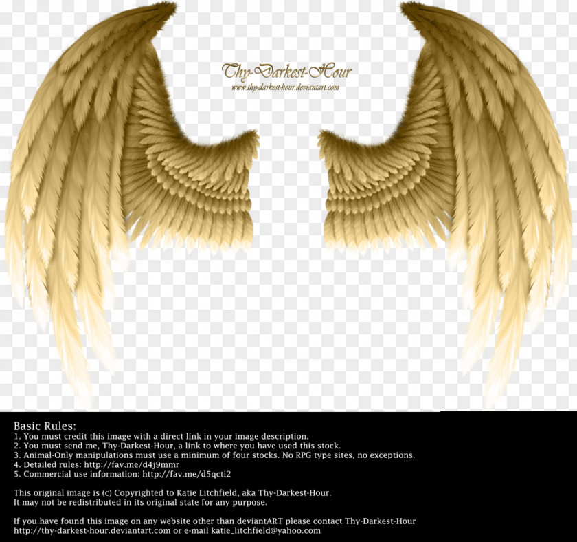 Angel Wings Devil Layers PNG