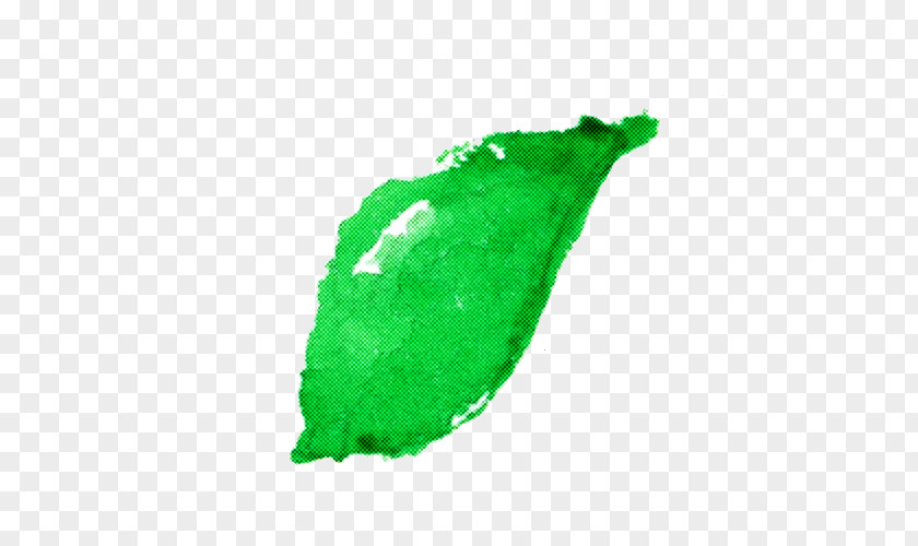 Green Leaf Emerald Jade PNG