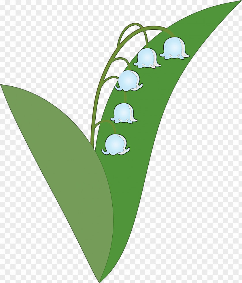 Lily Bell Flower PNG