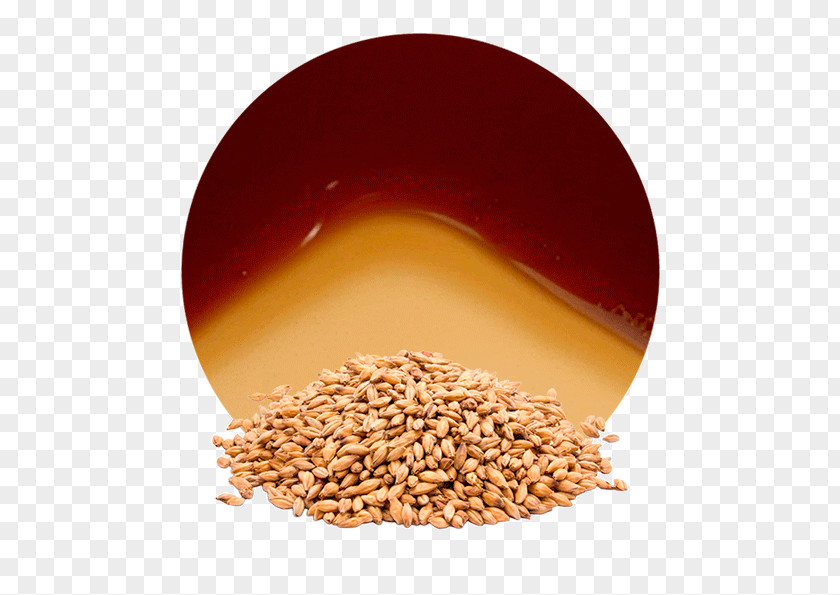 Mango Carrot Juice Beer Malt Cereal Grain Barley PNG