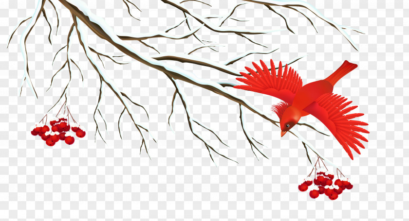 Winter Snowy Branch With Bird Clipart Image Icon PNG