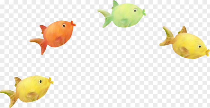 Fish Goldfish Clip Art PNG