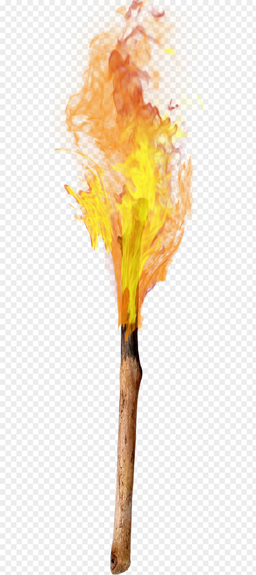 Flame Torch Combustion PNG