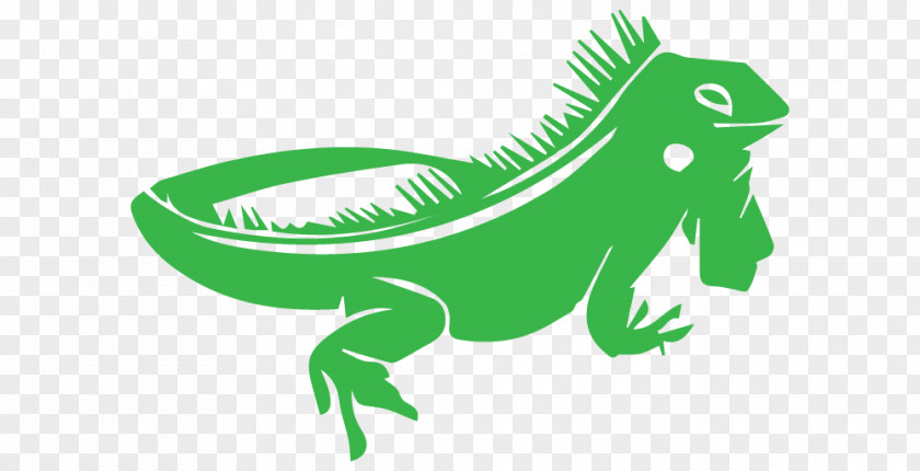 Green Iguana Lizard Chameleons Reptile Clip Art PNG
